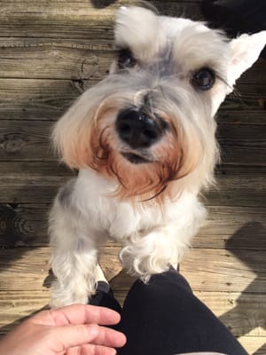 Look at those lashes!