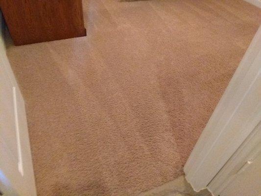 Carpet cleaning services