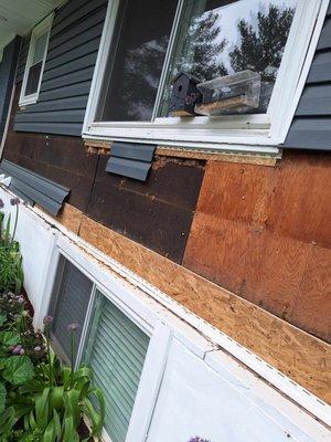 The black area is foam insulation board that he tried to nail siding into