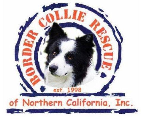 Border Collie Rescue of Northern California