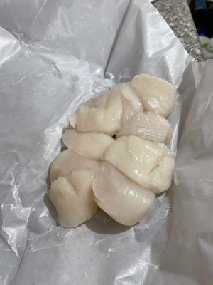 Scallops