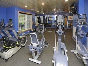 the gym is equipped with a variety of exercise equipment