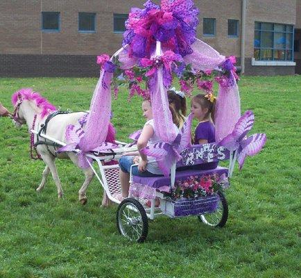 Princess carriage for your Princess. Also ponies for the children to ride