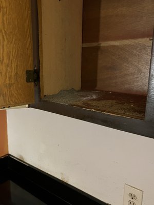 Rotted cabinets, with a broken flat top stove