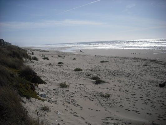 Miles of pristine beach