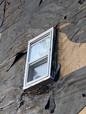 Window was hangout for months bugs and dirt coming in