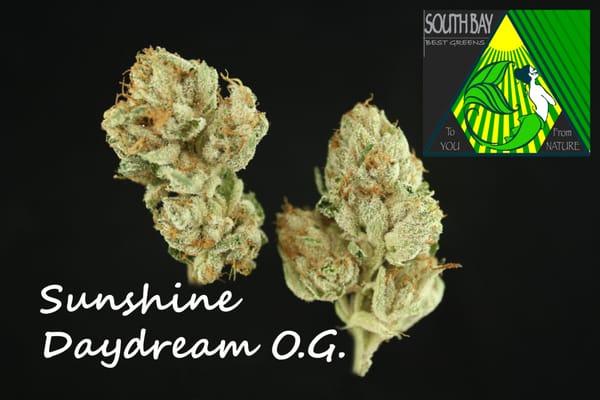 Sunshine Daydream O.G.