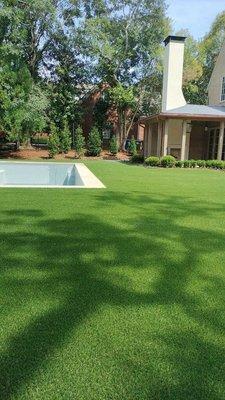 Beautiful artificial grass