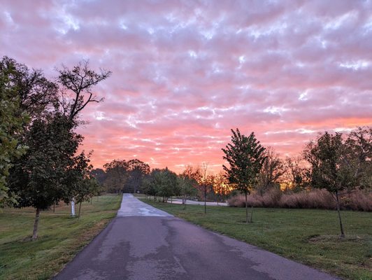 Mill Grove Loop Trail | Instagram: @telephonesmoothie