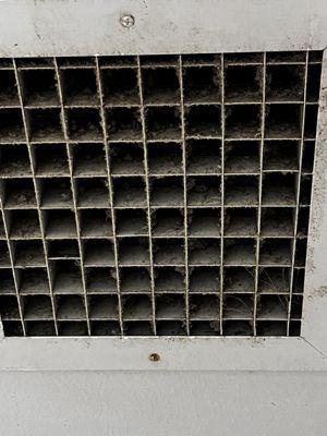 Close up of a vent. They are all this way.