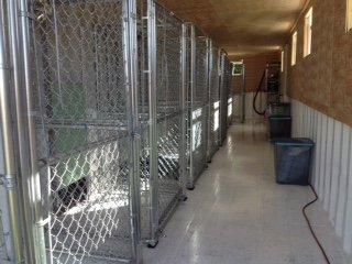 indoor/outdoor kennel