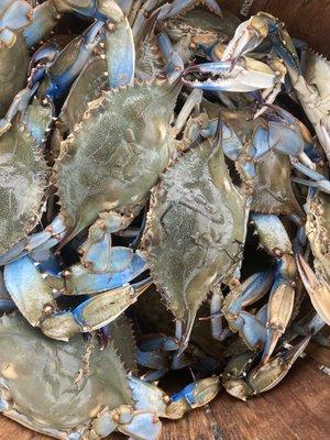 Smacking Seafood  - Baltimore