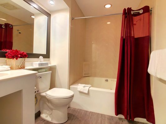 One of the bathrooms in our suites.