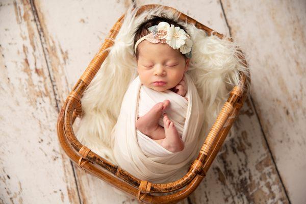 Newborn Portrait Session