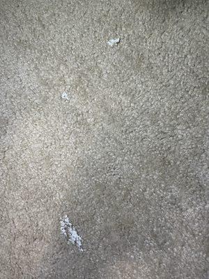 They tracked caulk all over my floor.