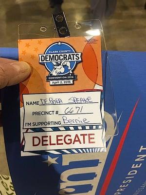 Clark County Nevada Democratic convention delegate for Bernie Sanders.