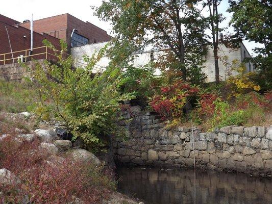 Eco-Friendly Hydroelectric-Powered Facility