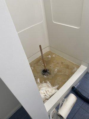 Sewage backed up through the shower drain