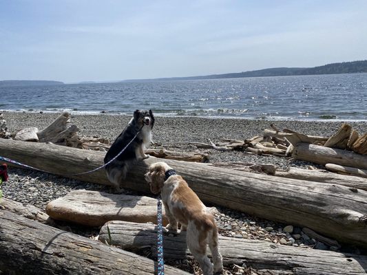 Camano Island State Park