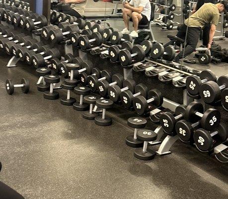 The weights have once been organized. A gym culture of untidiness has been perpetuated by poor staff management.