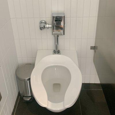 Flush-o-meter toilet servicing