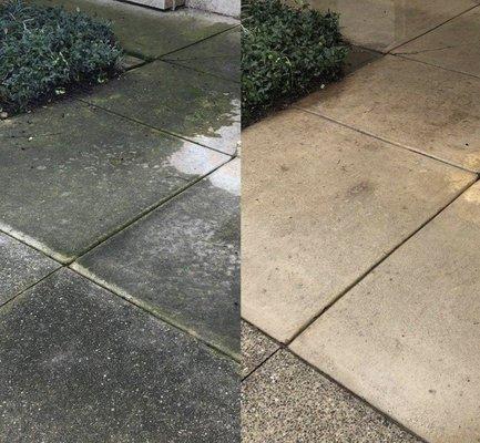 Professional Pressure Washing