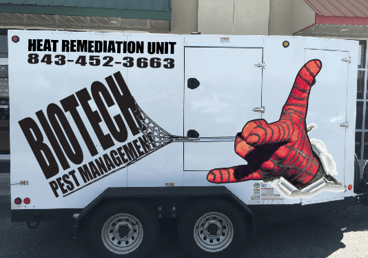 bed bug service charleston sc