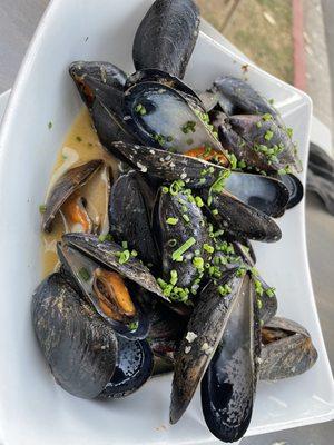 Mussels