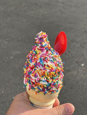 Small twist cone with rainbow sprinkles