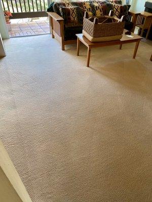 With our low moisture system your carpets will dry fast and will last longer..