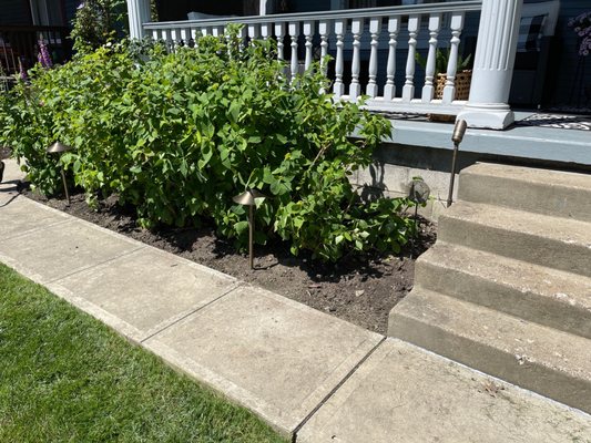 New front walkway and spotlight.