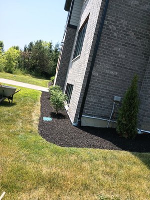 FC Lawn Care and Landscaping