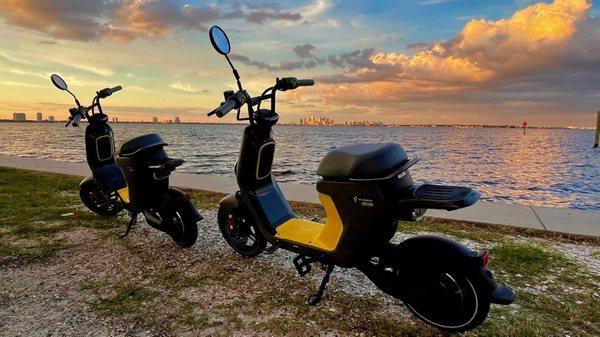 Beautiful day for an ride to Ballast Point Park!