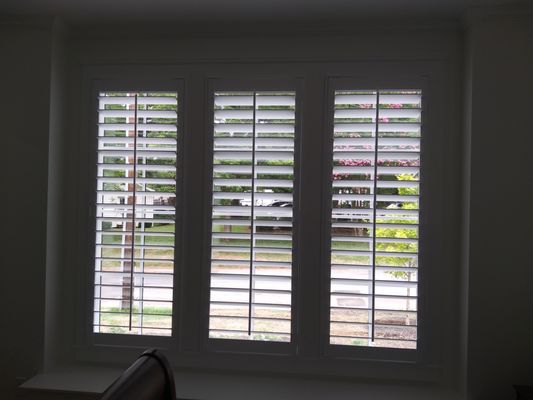 Full view Shutters, with no direct sun Issues.