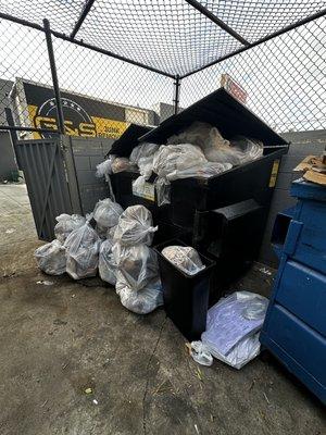 Trash bin overflow cleanup.