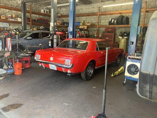 1965 mustang Richard got reasonable prices