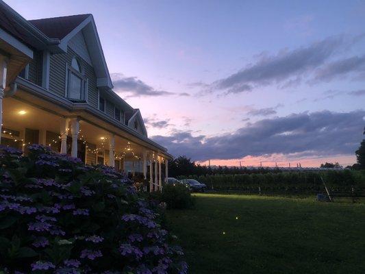 Outside of the beautiful B&B  and vineyard during sunset