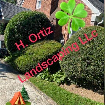 H Ortiz Landscaping