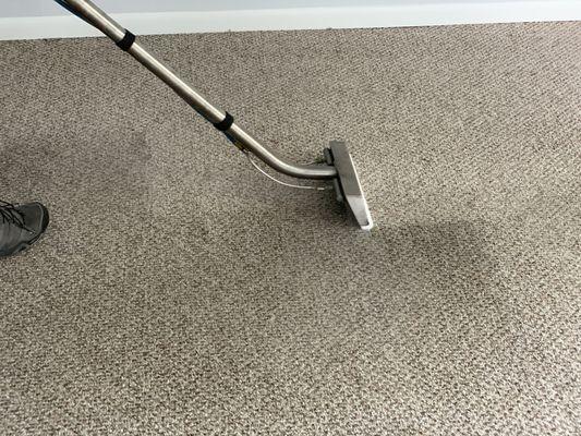 carpet steam cleaning services in Chicago