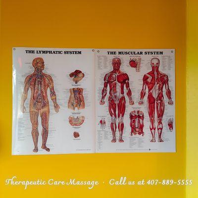 Welcome To Therapeutic Care Massage