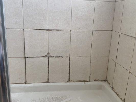 Bathroom leaks? Don't wait for wear and tear this will be a denial claim! Make sure to prevent more damages.