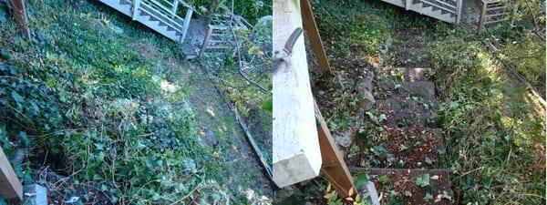 Ivy Stairs: Before and After