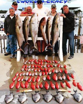 Amber Jack and Snappers