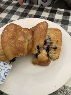 Fresh, blueberry muffin