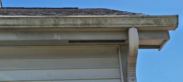 Gutter cleaning