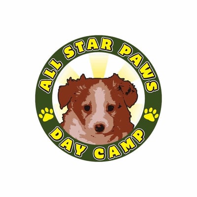 All Star Paws Day Camp