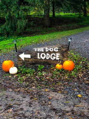 The Dog Lodge driveway sign in October. Happy Halloween!