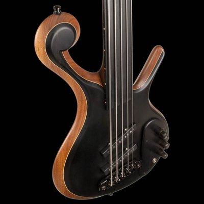 Xylem custom bass guitar "Zio"