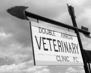 Double Arrow Veterinary Clinic