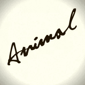 Animal Creative